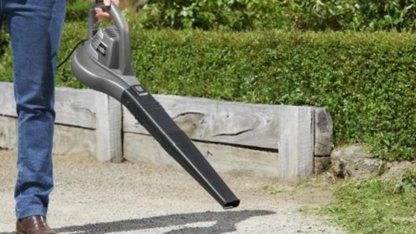 Leaf discount blower ozito